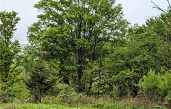 0 Maricle Rd. Road, Freetown, NY 13040