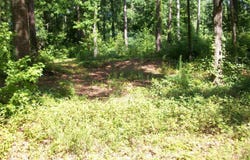 43 Shady Lane, Jackson, GA 30233