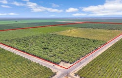15110 Avenue 7, Madera, CA 93637