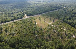 922 Seivern Rd, Wagener, SC 29164