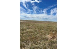 000 Rd 15, Last Chance, CO 80757