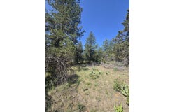 Meadow Lark Drive, Bonanza, OR 97623