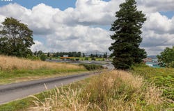 0 Rockcrest St, Rainier, OR 97048