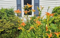 9751 SINGERS GLEN RD, SINGERS GLEN, VA 22850