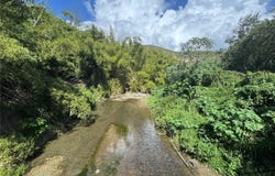 PR-335, GUAYANILLA, 00656