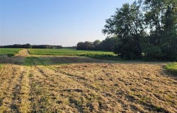 Hwy DD (46+/- Ac) Tract F, Bellflower, MO 63333