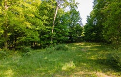 16199 W Clear Lake Road, Buchanan, MI 49107