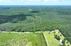 X Baron/Harcus Rd, Bonifay, FL 32425
