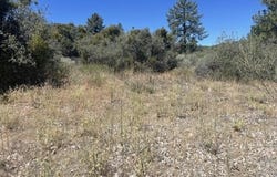 Devils Ladder, Mountain Center, CA 92561