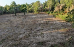 County Rd 3211, Pittsburg, TX 75686