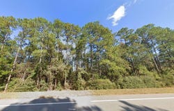 OLD SPANISH TRAIL, CARYVILLE, FL 32427