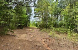 Tbd County Road 2742, Naples, TX 75568
