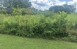 459 S Walnut Street, Whitwell, TN 37397