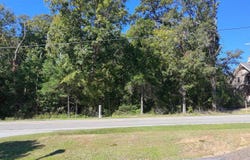 509 Lexington Avenue, Chapin, SC 29036
