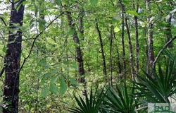168 Middle Landing Road, Bloomingdale, GA 31302