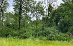 14985 Stutz Street NE, Ham Lake, MN 55304