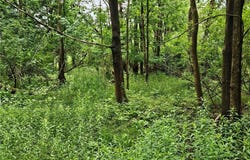 Sims Lane, Cazenovia, NY 13035