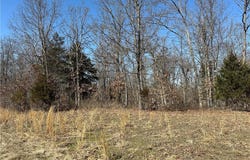 32677 Cougar Way, Cole Camp, MO 65325