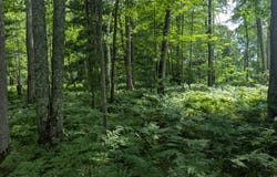 002 Caberfae Highway, Manistee, MI 49660
