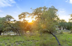 Mirela Ann Rd, Dripping Springs, TX 78620