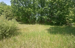 1035 Bonanza Lane, Weidman, MI 48893