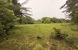 82 Sandpiper Road, Roxie, MS 39661