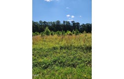 0 Paschall Station Road, Warrenton, NC 27589