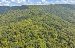 Wingfield Mountain Road, SANDSTONE, WV 25976