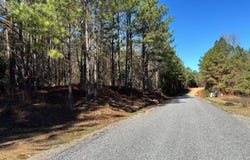 00 Wiggins Loop Rd, Carthage, MS 39051