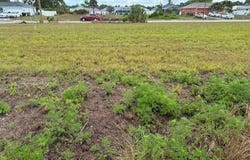1806 NE 27th Terrace, Cape Coral, FL 33909