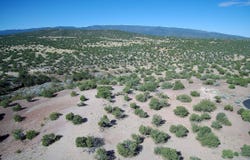 Gold Mine Trail, Sandia Park, NM 87047