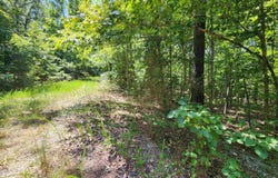 L-13, B-6 Calumet Drive, Cherokee Village, AR 72529