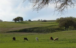 1 Nickel Creek Road, San Miguel, CA 93451