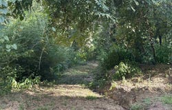 000 Leftwich Lane, Booneville, AR 72927