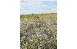 1999 Sengbeil Road, Yoder, CO 80864