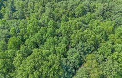 0 Hazard Trail, Elkin, NC 28621