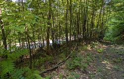 US Highway Route 6, Port Jervis, NY 12771