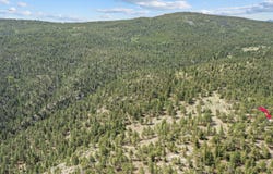 1825 Soul Shine Rd, Drake, CO 80515