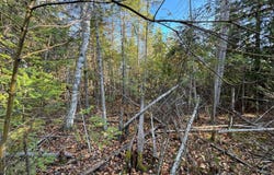 Outer Drive lot: #27, Presque Isle, MI 49777