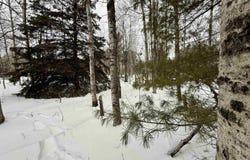 340 Taylor, Gwinn, MI 49841