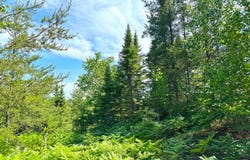 7887 N Beaver Rd, Paradise, MI 49768