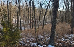 TBD S 68th Rd, Dunnegan, MO 65640