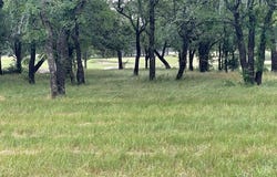 429 Fairview Avenue, Eastland, TX 76448