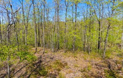 Woodridge unit: 2, Gaylord, MI 49735