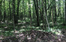 STAR LAKE RD lot: On, Eagle River, WI 54519