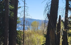 1602 Bear Trail Loop, Donnelly, ID 83615