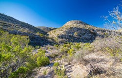 NW Pandale-Langtry Co. Rd., TX 76943