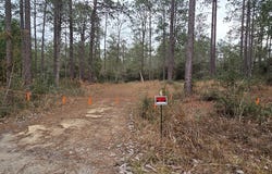 Deddar Drive lot: 191, 192, Brookeland, TX 75931