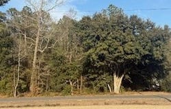 120 Rough Horn Road, Evergreen, NC 28438