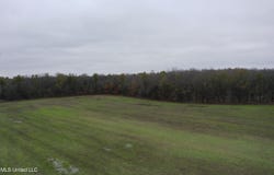 2000 Walnut Lake Road, Dundee, MS 38626